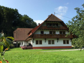 Hof hinter der Mühle Gutach Im Breisgau